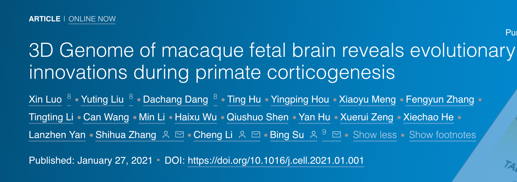 大腦如何進化？中國團隊首獲獼猴胎腦發育染色質精細空間構象 國際 第1張