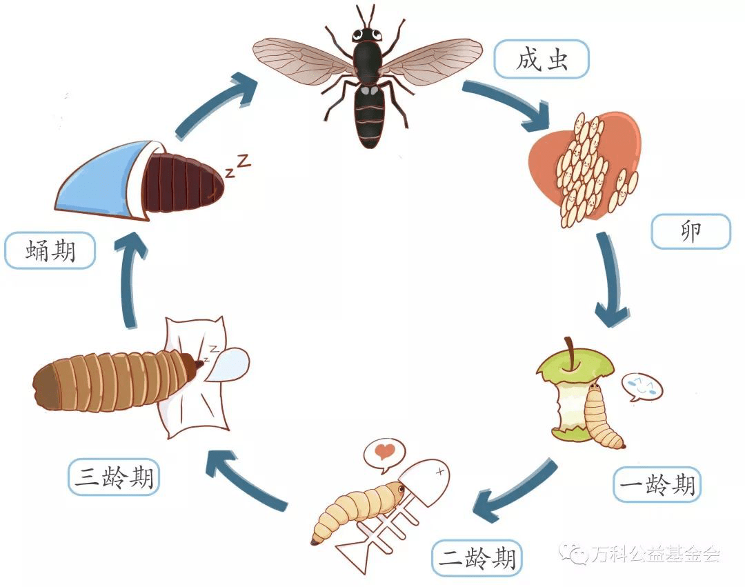 清风圳来sigs解密深圳万科中心可持续社区建设