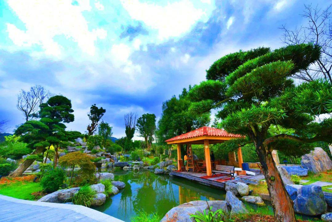 游在闽北|浦城有一小镇名为仙阳,每一处风景如诗如画,更有美酒花香引