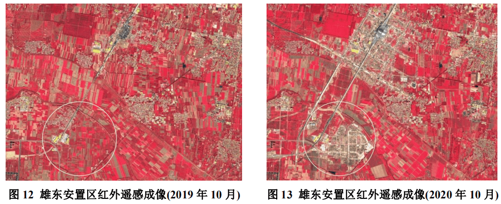 建设|大数据看雄安：去年11月青年常住人口同比增长37.35%