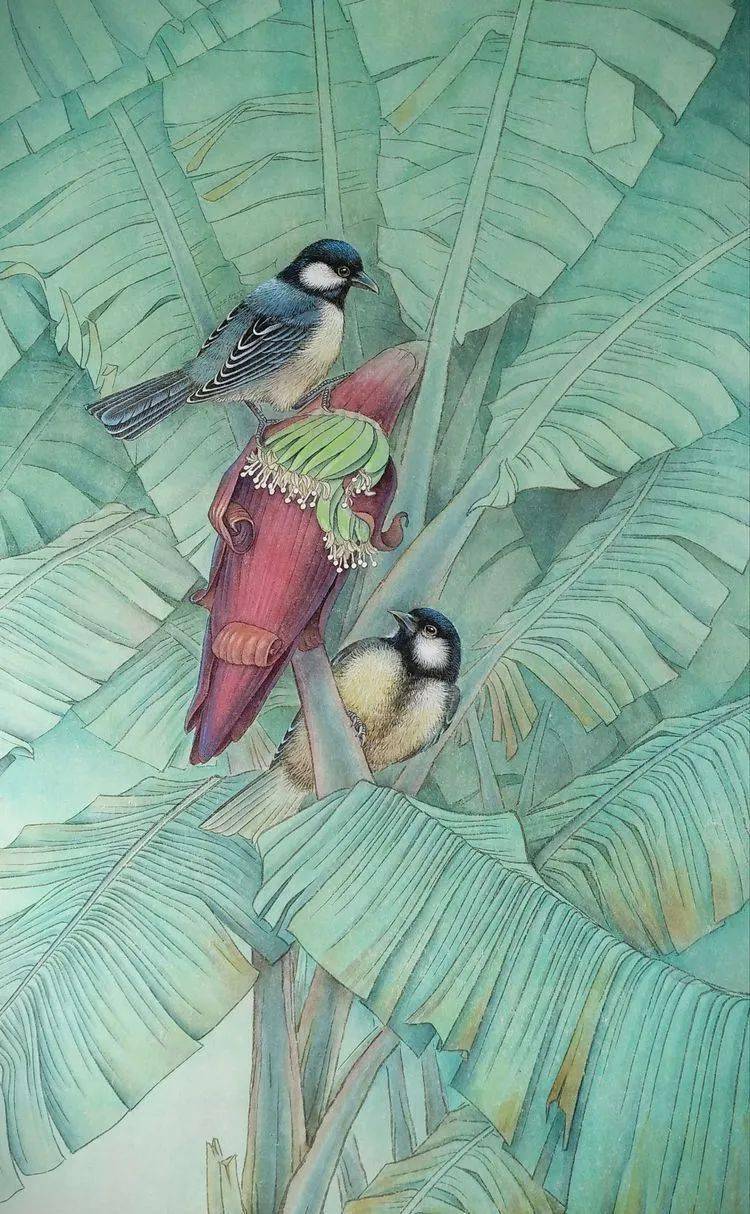 陈松岩教授工笔白孔雀牡丹技法班2月21日开课