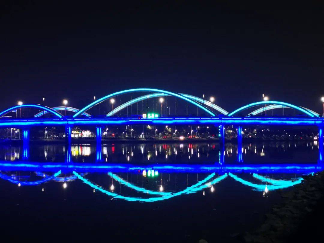 市桥大桥夜景繁花似锦美如春在城区主干道,哪里有绿化带,哪里就有时花