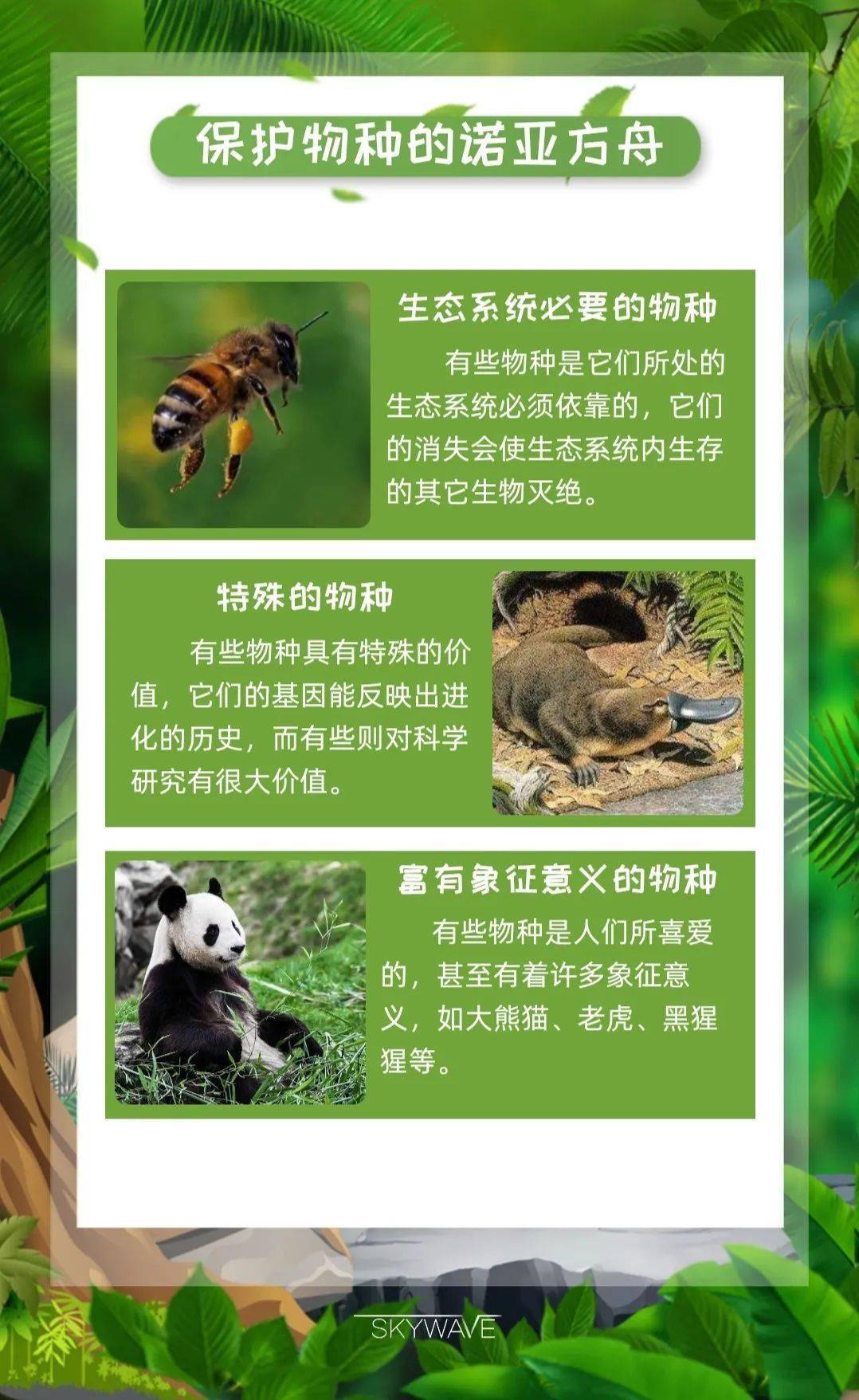 灭绝植物名单图片