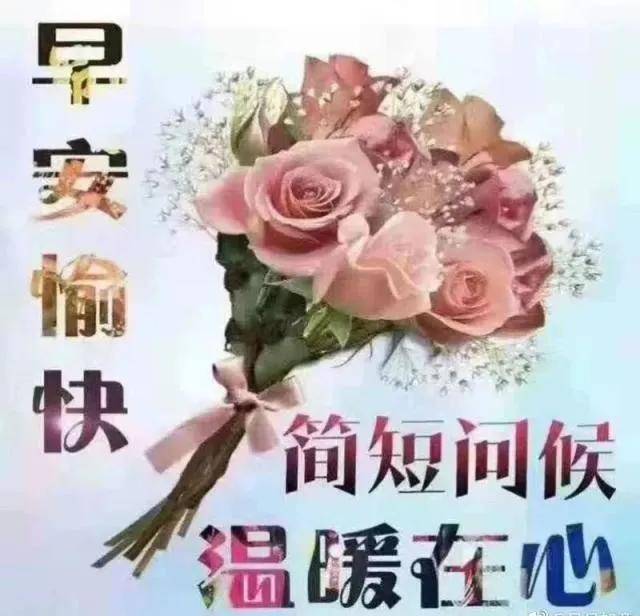 早安吉祥許下祝福願平安繞您身旁喜悅與你同行早安