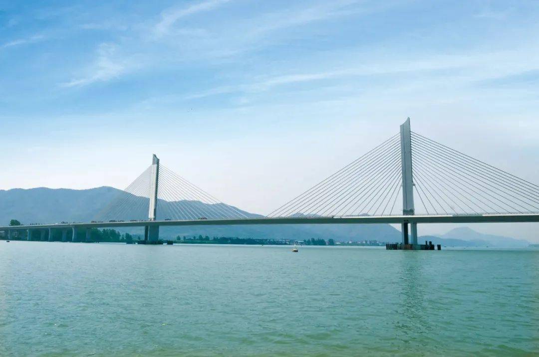 方禾徐风中那一片抖动的叶