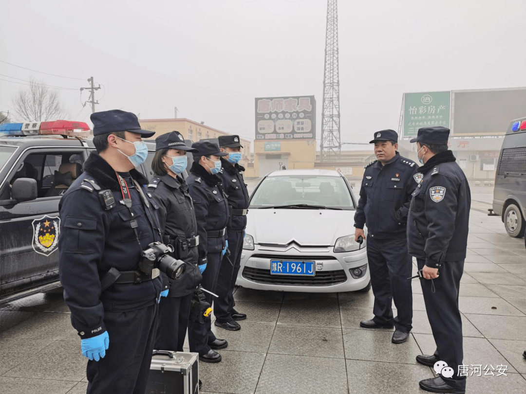 唐河城事1月30日唐河发生的事突发藏獒竟伤人