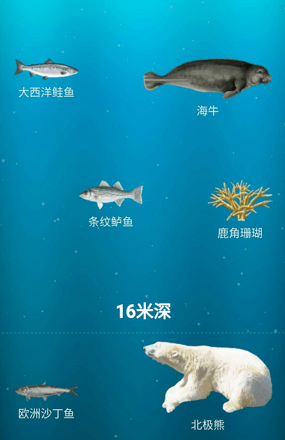 万米下的海底有什么 这个网站带你到深海去探险 海洋