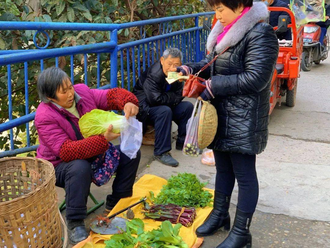 卖菜的老人们起早贪黑的谋生着,在那人流量多一些的地方,寻得一处空地