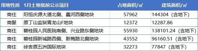 2021一月新房市场总结，未来又将有大批新盘现世_子项目