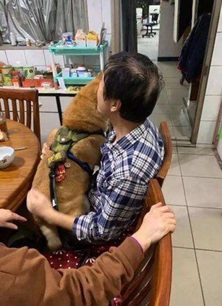 父母和阿柴拍全家福叫網友來拍，他拍一半突然醒悟：我才是親生的啊！ 萌趣萌寵 第4张