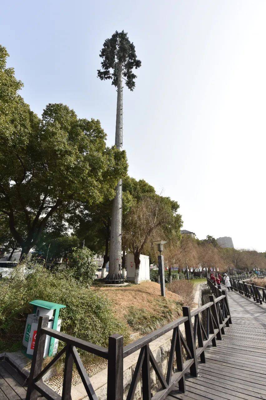 巢湖四县一区gdp_巢湖风景名胜区规划图