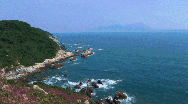 春节低加收 到深圳南澳海贝湾,享海边沙滩!