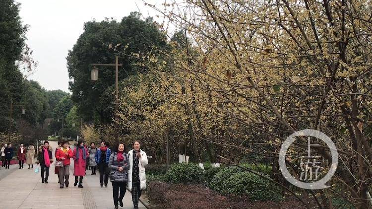 春节好去处 | 来鸿恩寺森林公园寻找春天