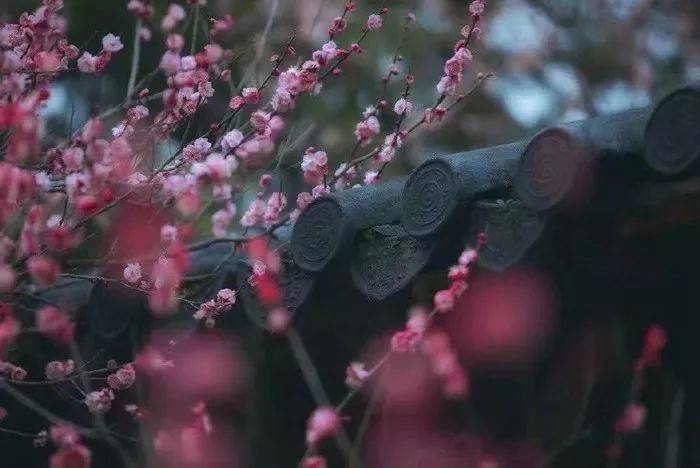 如何修炼强大的心态 1a81fa66bd584d60b0cfcd34bdb00873.jpeg