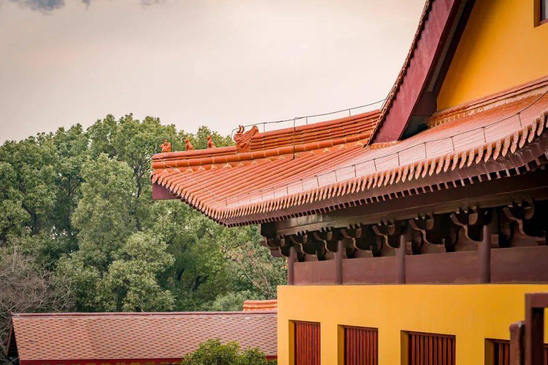 法起寺钟声 3125d2c77f6240d3ba22bb9921f767e1.jpeg