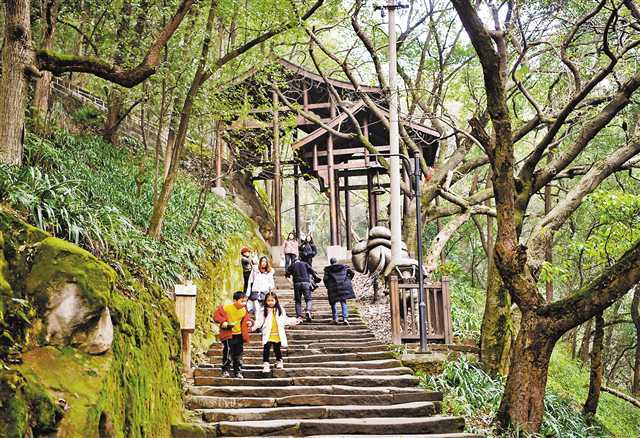 千年古道展新颜 南岸黄葛古道等你来打卡