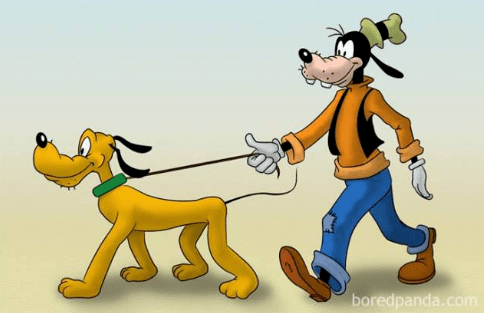 9c3de0d90134424aae95901db87fd53d.png
