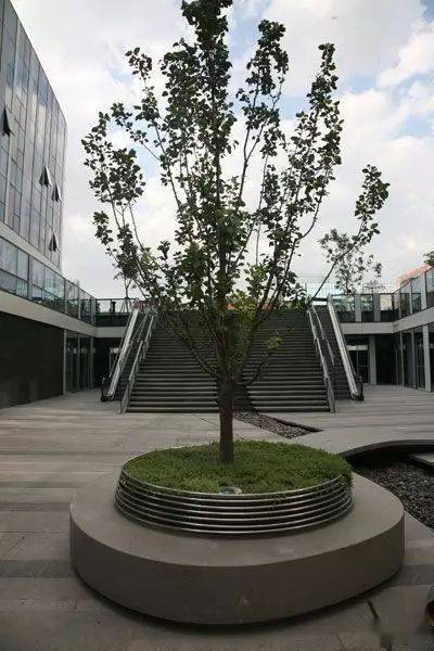 各式各样的景观树池