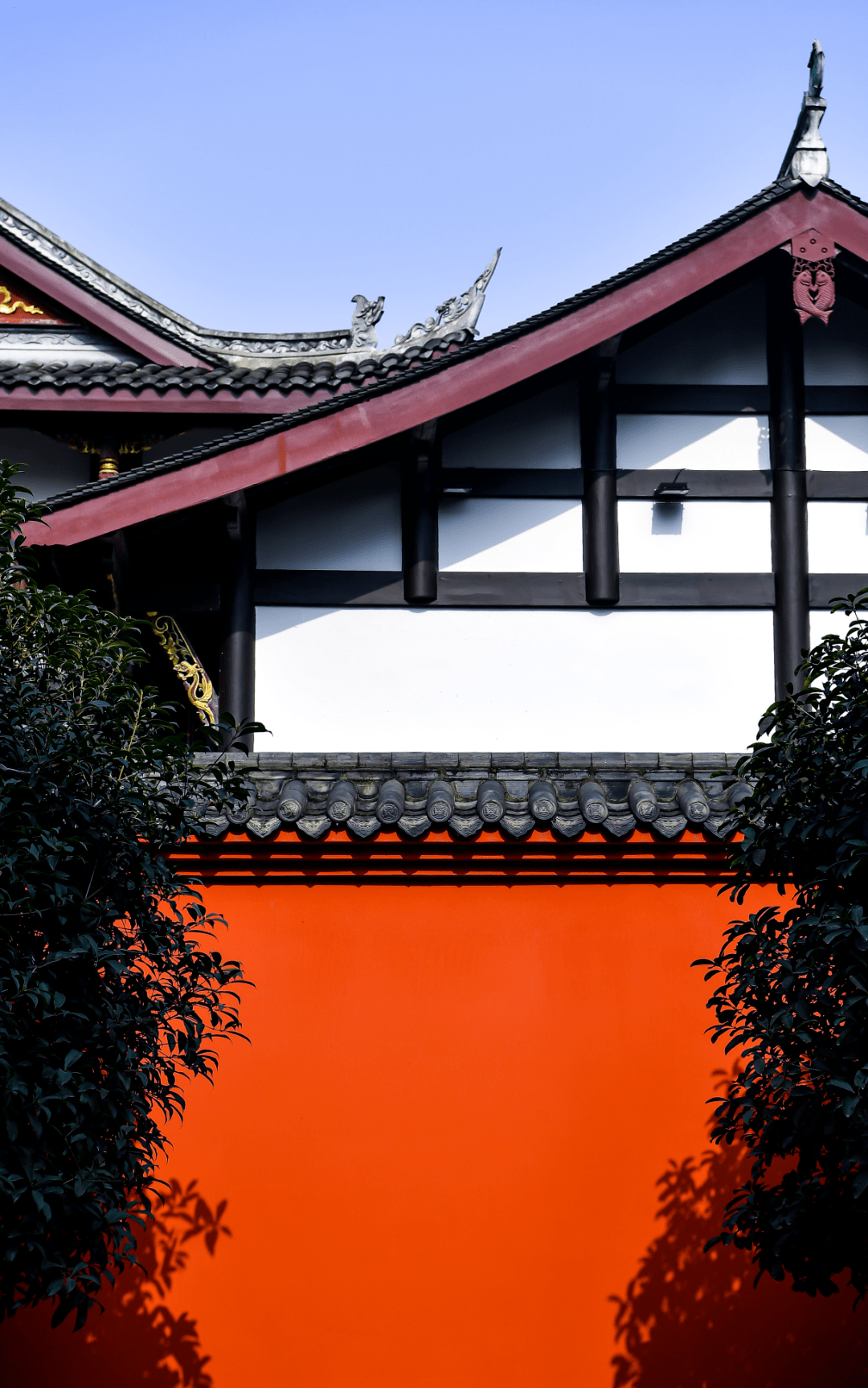 春节就要来了,请问你心中家乡是什么颜色?成都,当然是红色