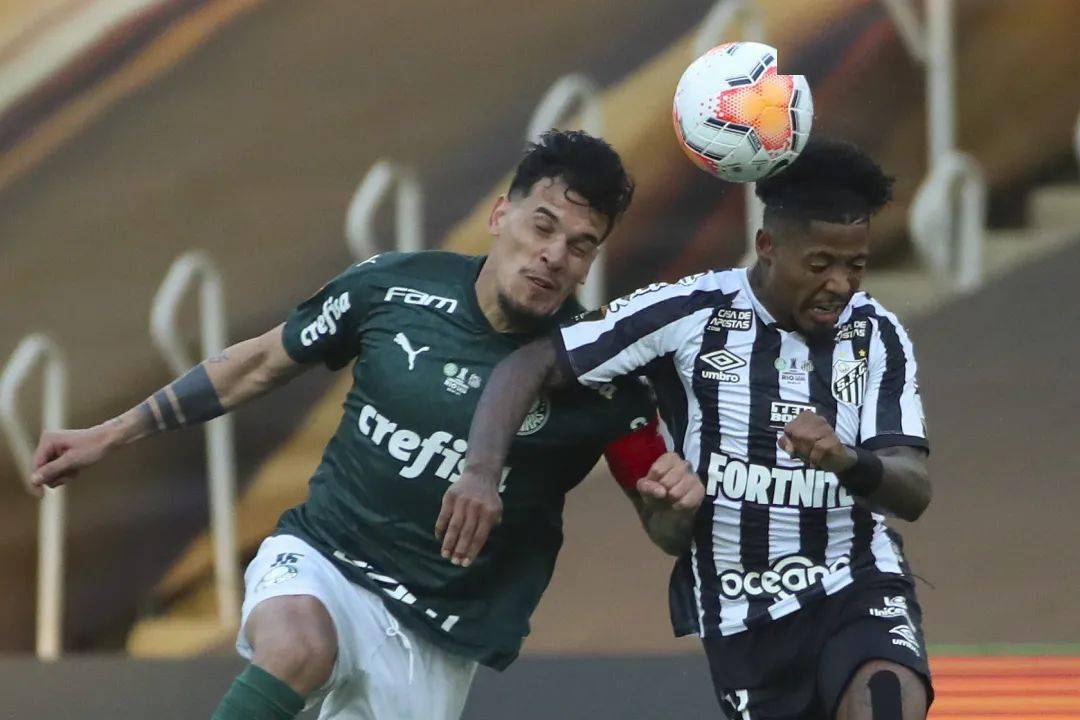 南美解放者杯帕尔梅拉斯10桑托斯夺冠布雷诺头球绝杀