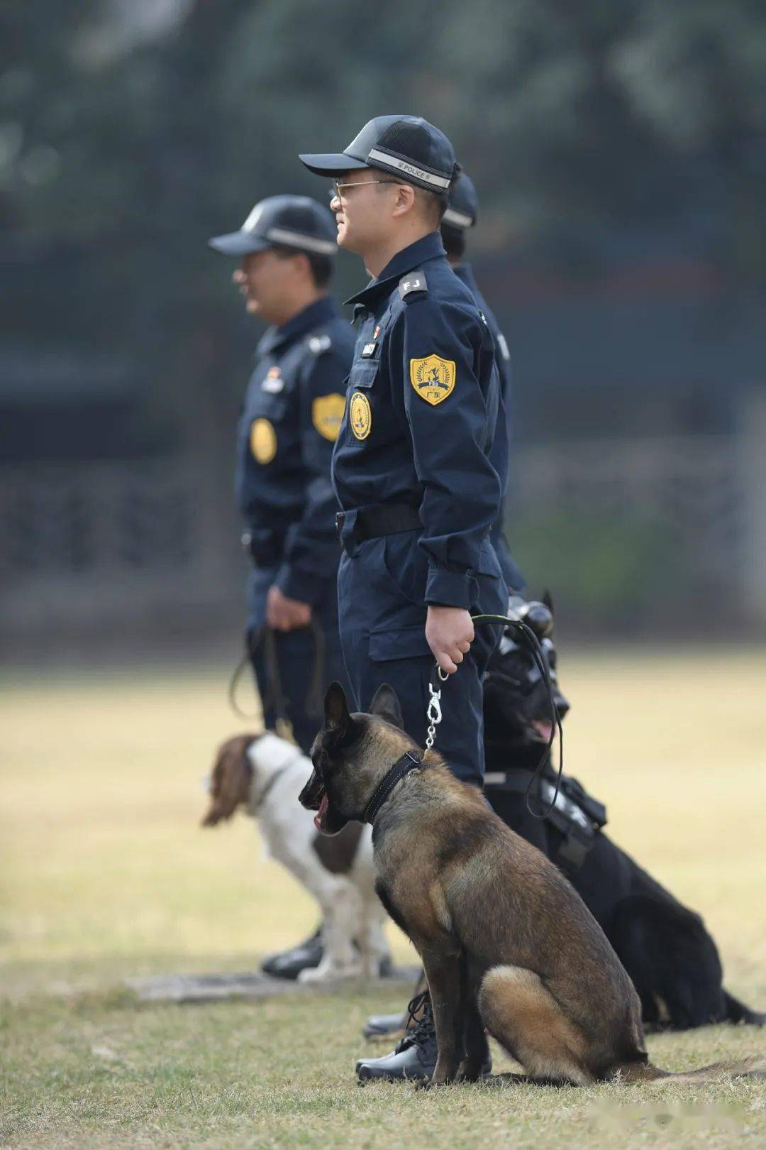纠正 南沙区分局警犬基地里,12位摄影家为警犬训导员拍摄幸福大片,并