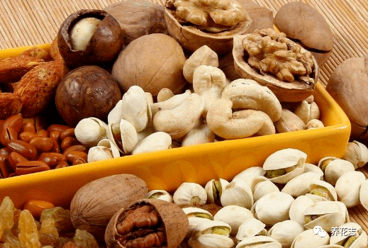 坚果是什么垃圾 1e4387f68da84a80a1a6d176fa60d31a.png