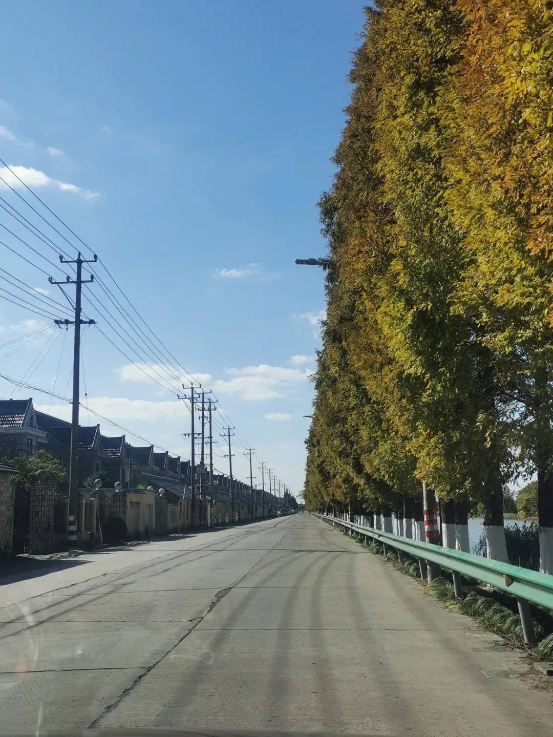 建设保障房整修道路疏浚河道这个镇的民生实事项目来啦