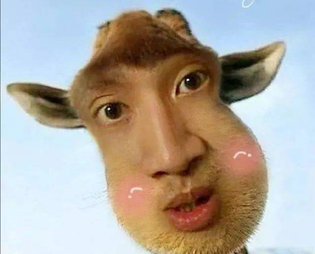 李光洙的蚊子舞诞生