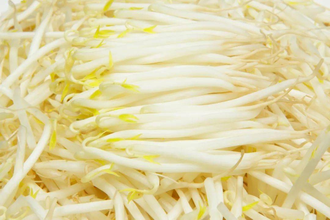 胖人更要吃!_豆芽