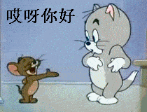 dc4a047f0cd74dd8a93b818623c26078.gif