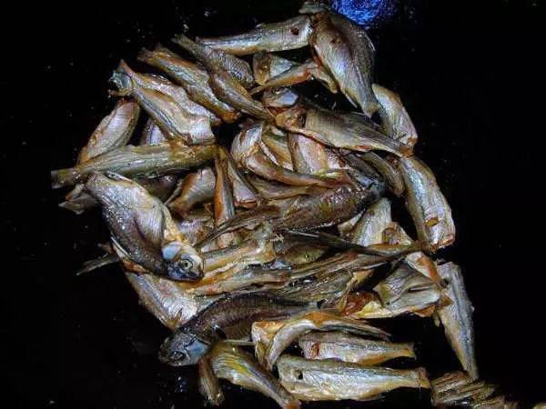 这种小鱼身材修长长得很是墩实我们管它叫老太婆