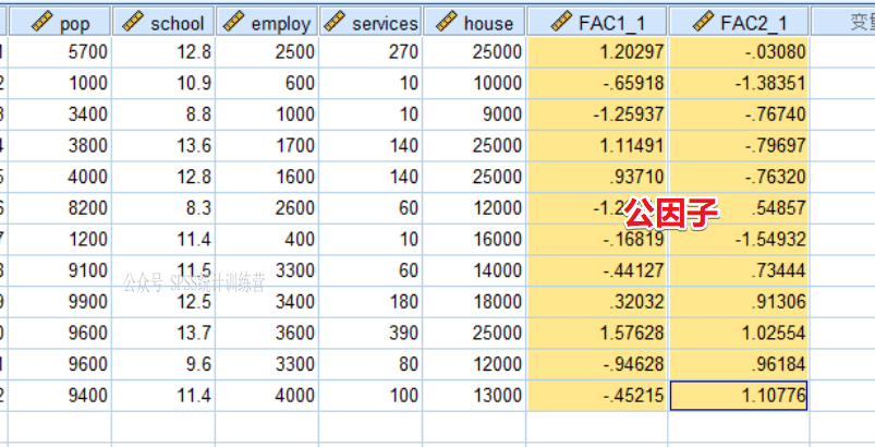 人口 spss分析_spss人口金字塔图(2)