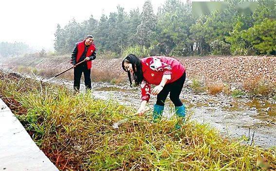 人民日报客户端匠心聚伟力扮靓乡里家茶陵县湖口镇农村人居环境整治