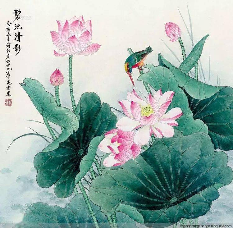 俞致贞画荷,芙蓉出水,风情无限!_花鸟画家