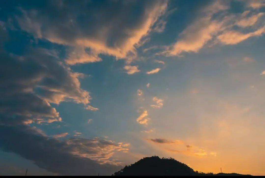 ding请查收你的微信步数图鉴