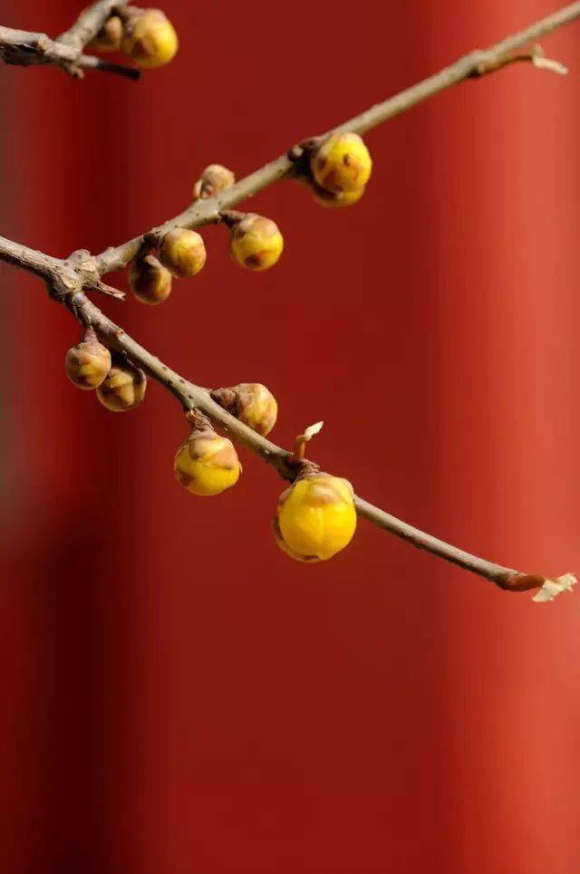 巫峡寒江那对眼,杜陵远客不胜悲.此身未知归定处,呼儿觅纸一题诗.