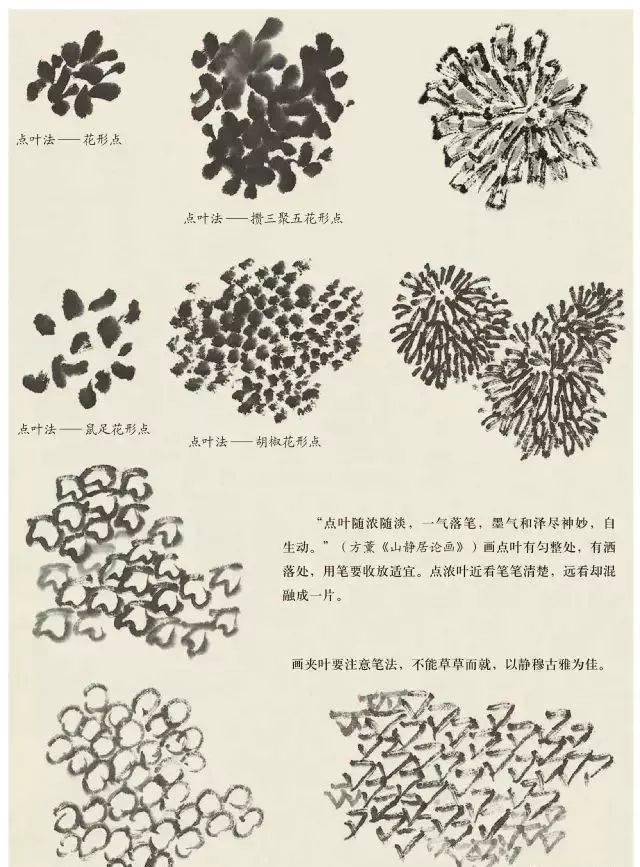 国画教程 树叶的画法大全 叶树