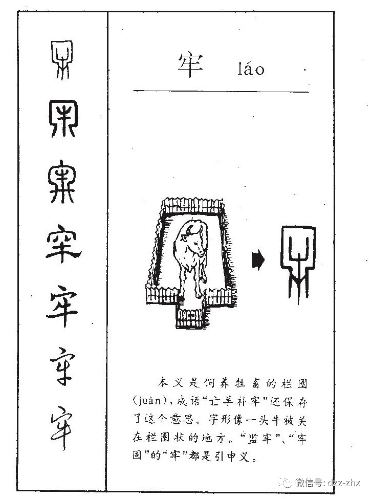 汉字文化 有故事的中国字 牛年话牛 甲骨文