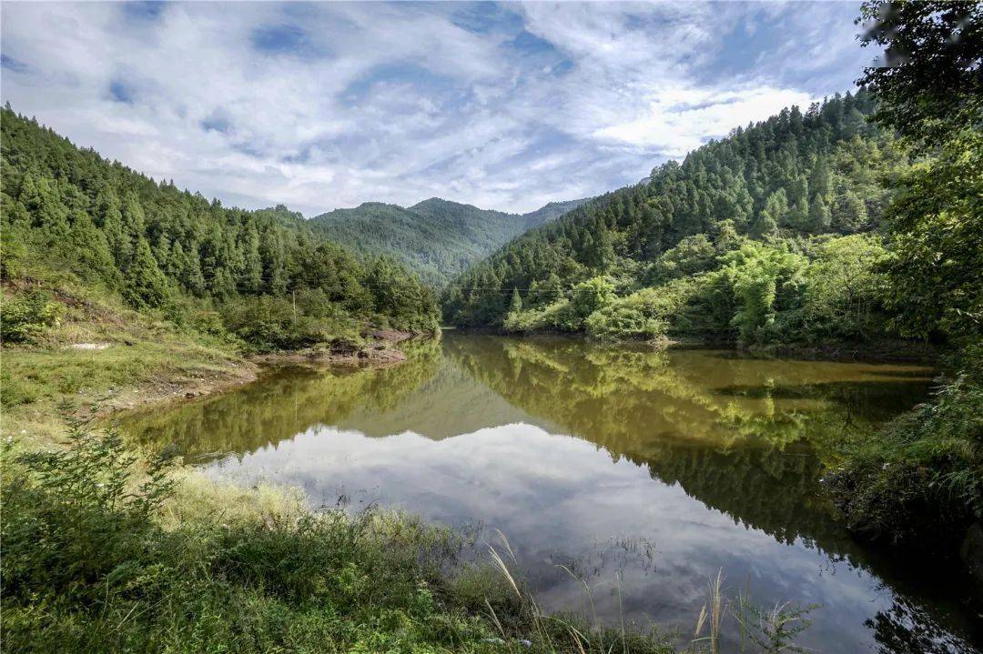 保护"地球之肾",不要让"湿地"变"失地"_陈河镇