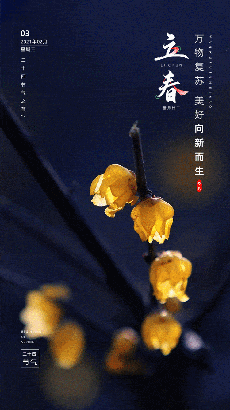 今日立春邢台早