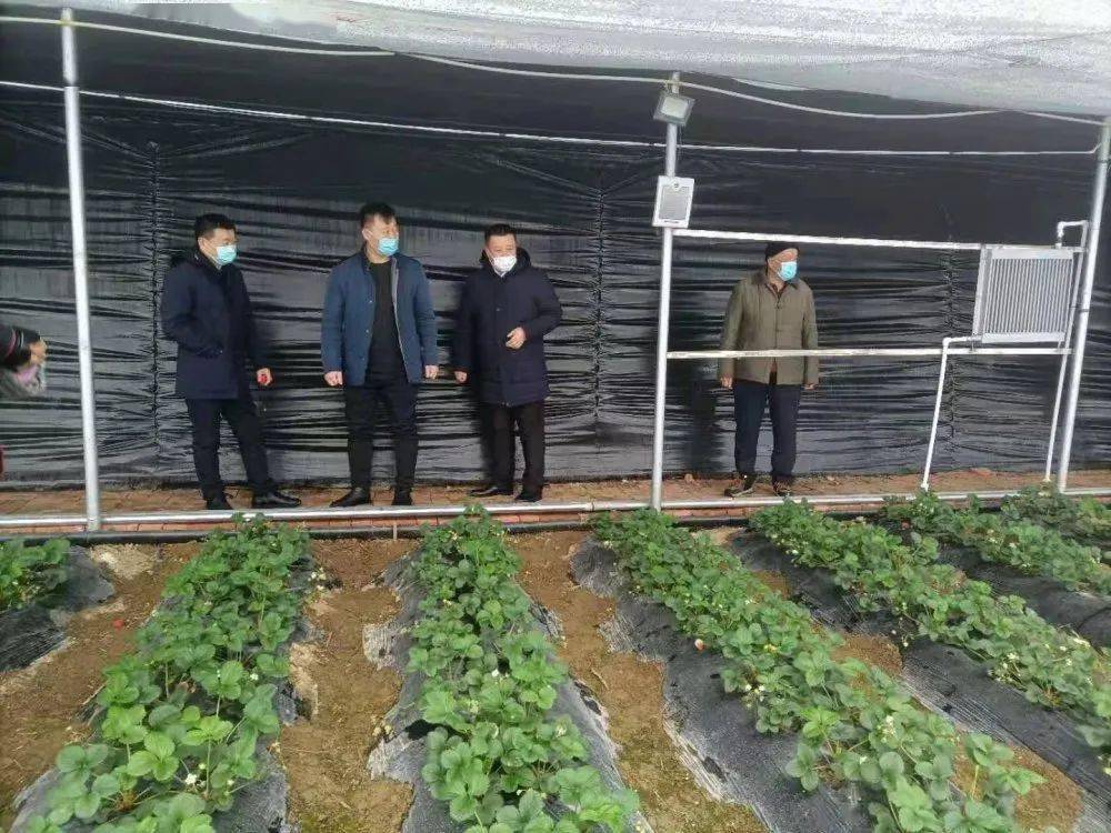 抚松县东岗镇经济总量_抚松县松江河镇规划图(2)