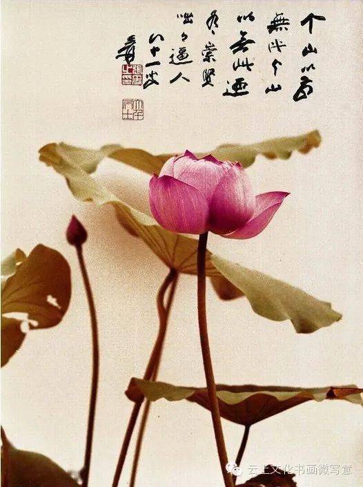 中国光清緒3 1年清国周家屯剽共北？書と畫 骨董品