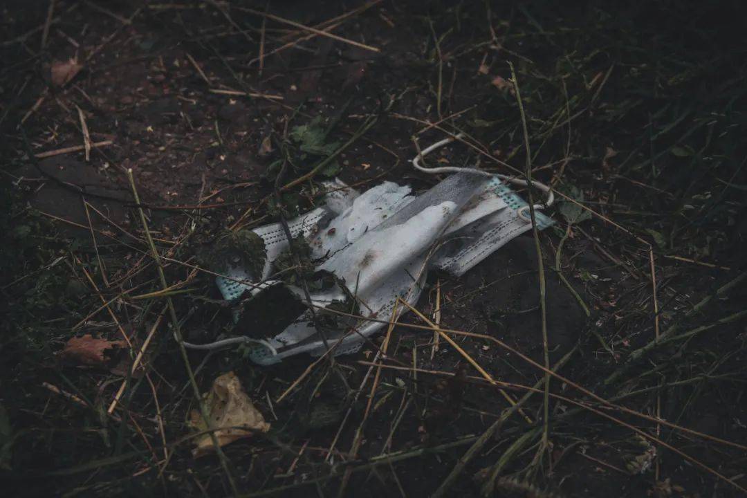 地球人口贴吧_地球人口图片