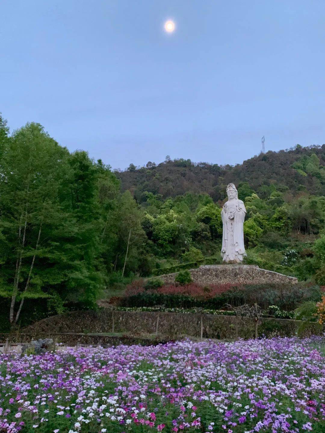 嵊州普安寺图片