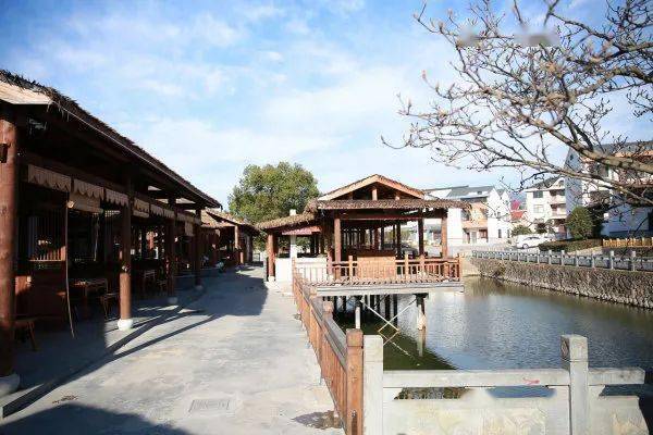 你想要的未来乡村生活在八里湾共享田园