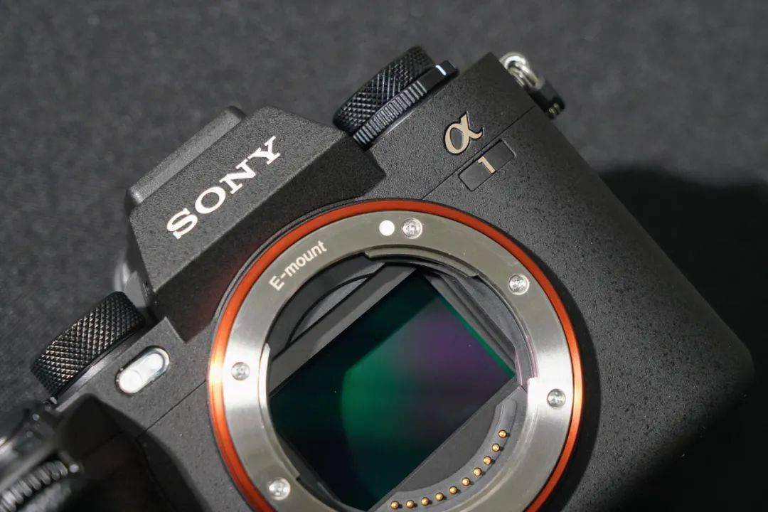索尼旗舰alpha1上手实拍