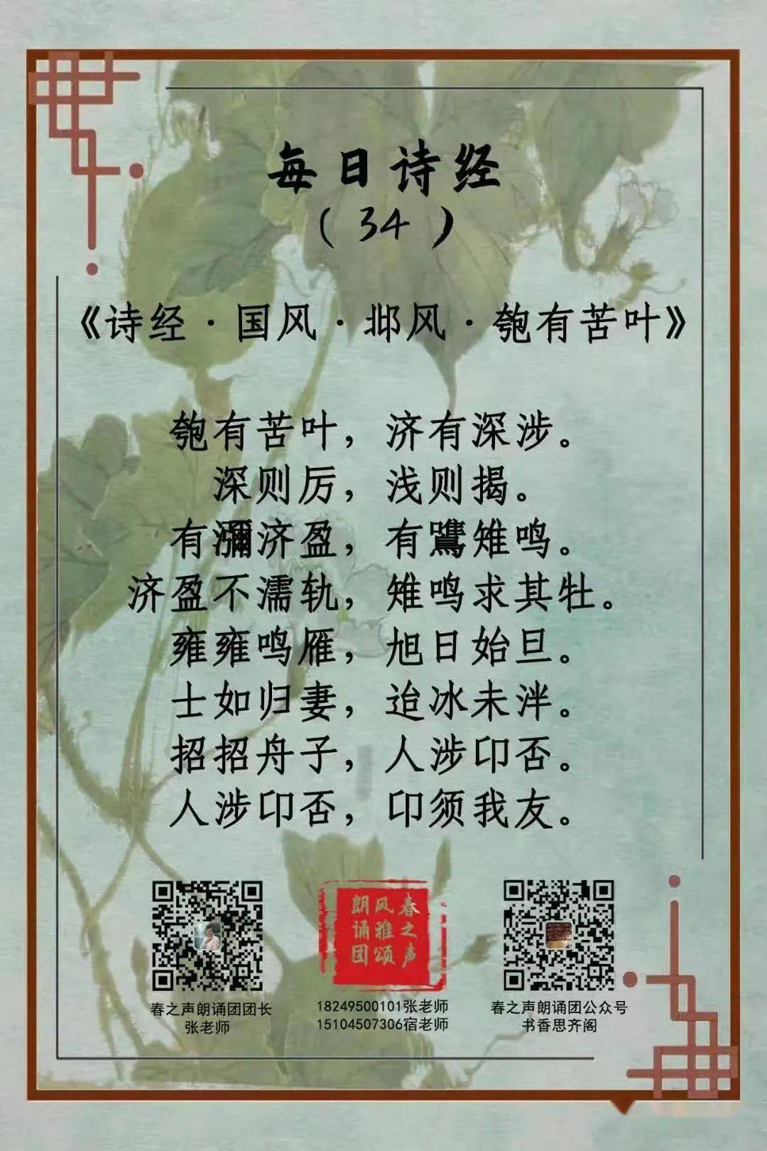 每日诗经34诗经国风邶风匏有苦叶