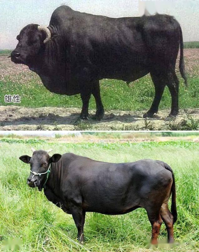 中国很牛看看你的家乡有多牛