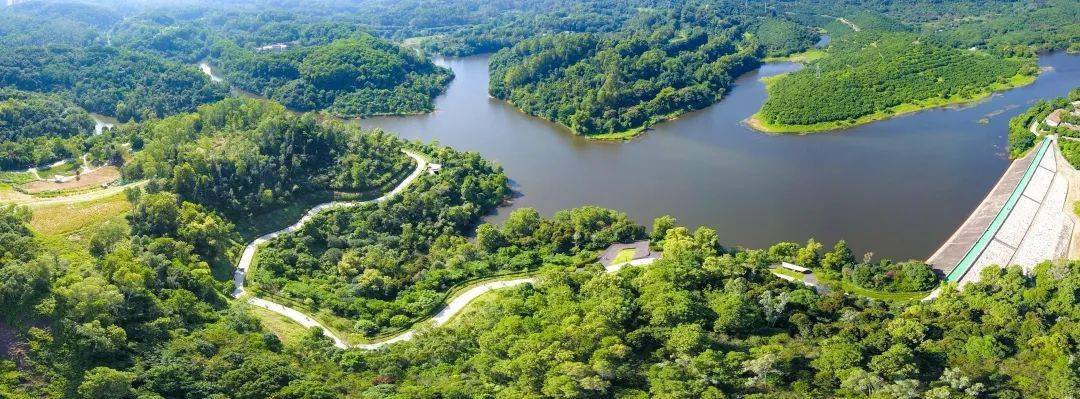 段,生态休闲段四大主题段,选线连接龙华区内7处郊野公园,14处水库湿地