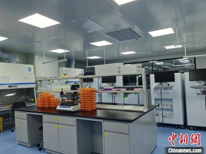 深圳单体面积最大新冠核酸检测临床实验室启用 最高日检万例